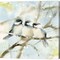 Three Chickadees in Spring Sq by Katrina Pete 12" x 12" Canvas Wall Art